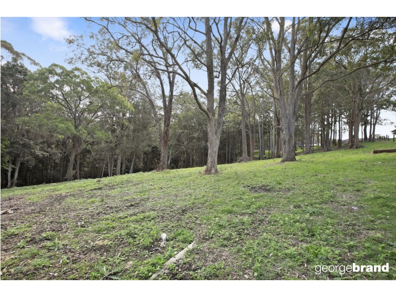 31 Karwin Ave, Springfield NSW 2250