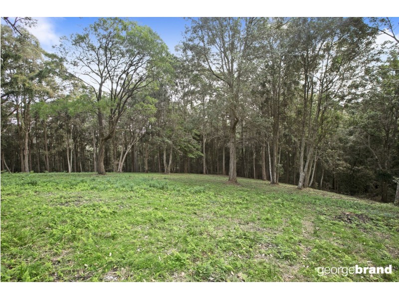 31 Karwin Ave, Springfield NSW 2250