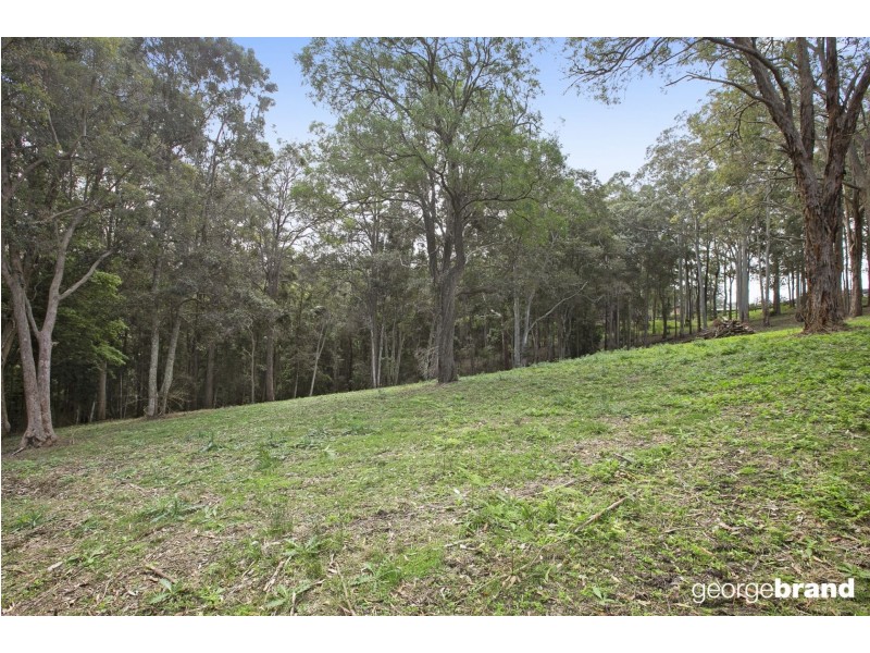 31 Karwin Ave, Springfield NSW 2250