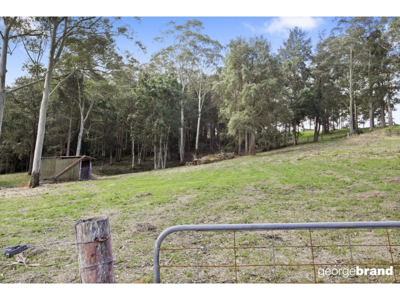 31 Karwin Ave, Springfield NSW 2250