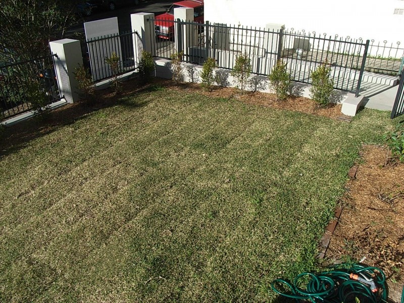 1/34 Cowper Street, Randwick NSW 2031