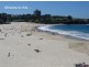 8/5 Abbott Street, Coogee NSW 2034