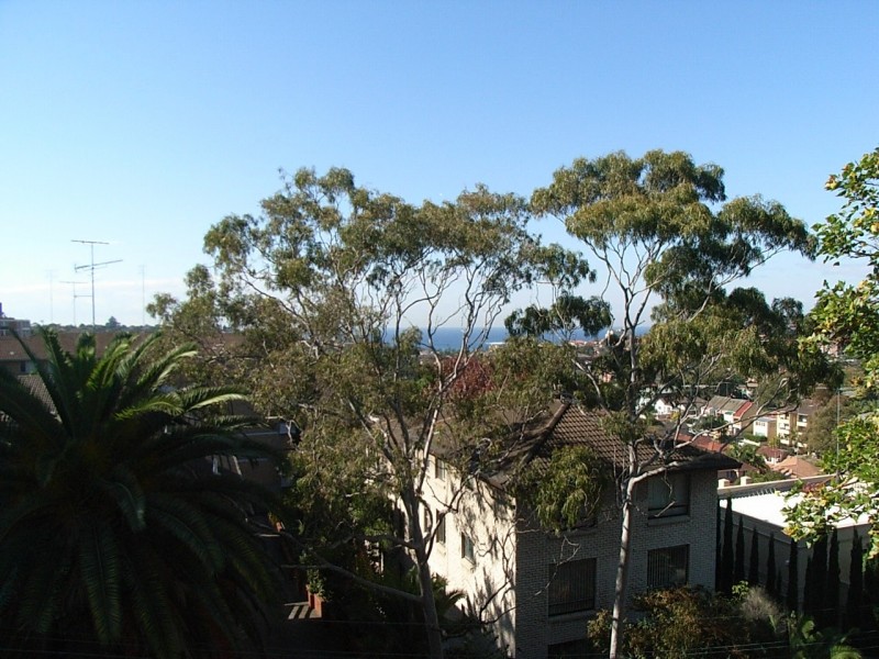 7/219 Alison Road, Randwick NSW 2031