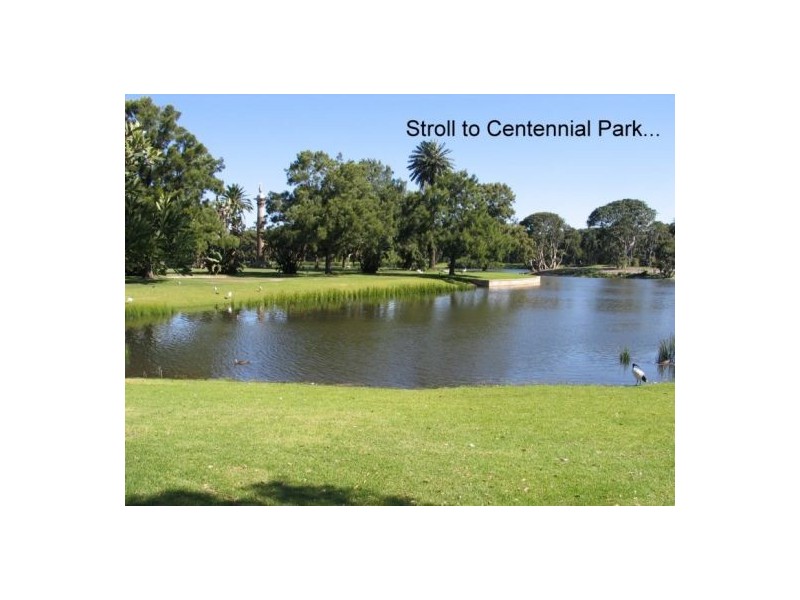 11/15-17 Park Avenue, Randwick NSW 2031