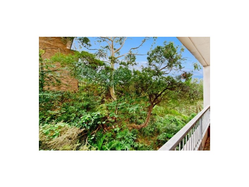 21/67 ST MARKS ROAD, Randwick NSW 2031