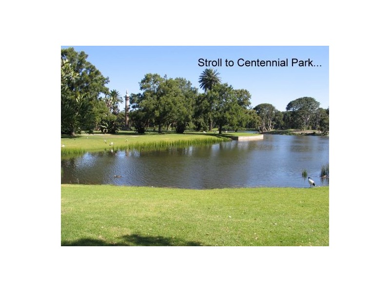 17 Castle Street, Randwick North NSW 2031