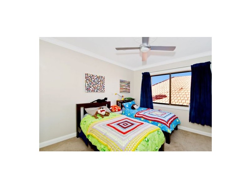 8 CREER STREET, Randwick NSW 2031