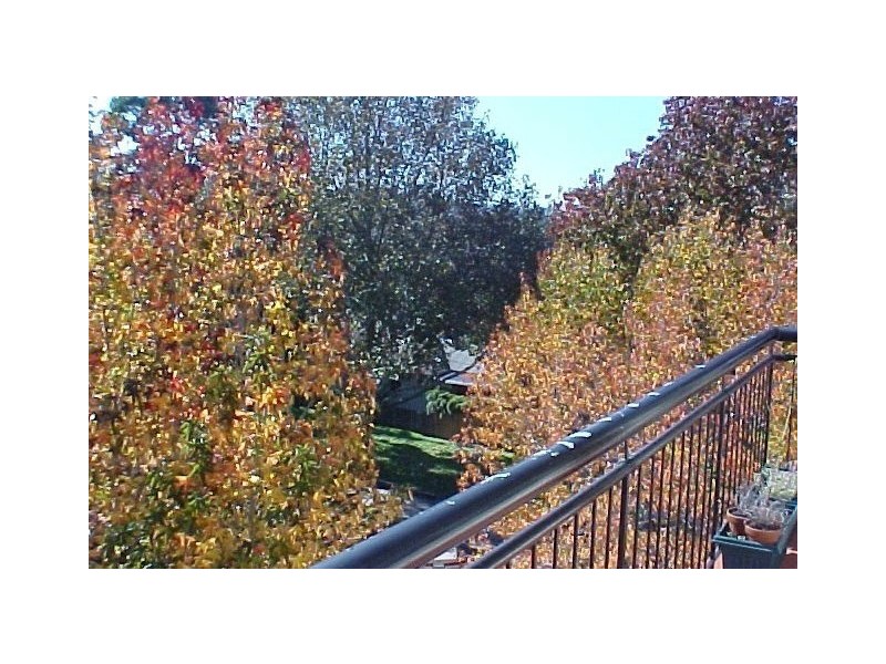 9/14 Albi Place, Randwick NSW 2031