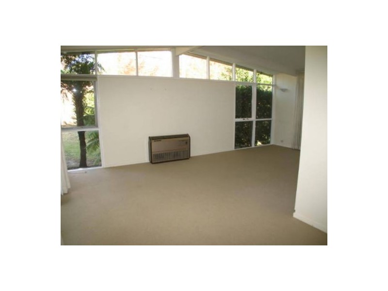 19 Bentley Avenue, Forestville NSW 2087