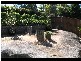 24 Kurrajong Road, Frenchs Forest NSW 2086