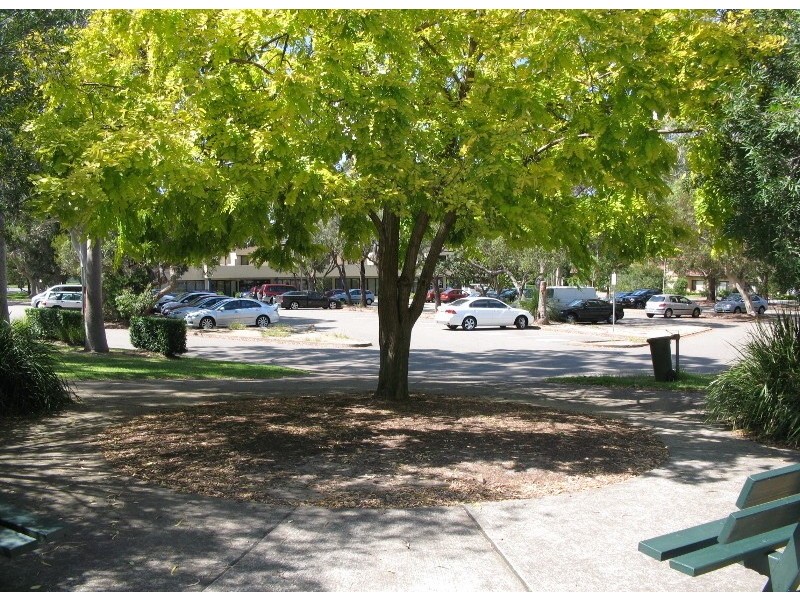 17 Tramore Place, Killarney Heights NSW 2087