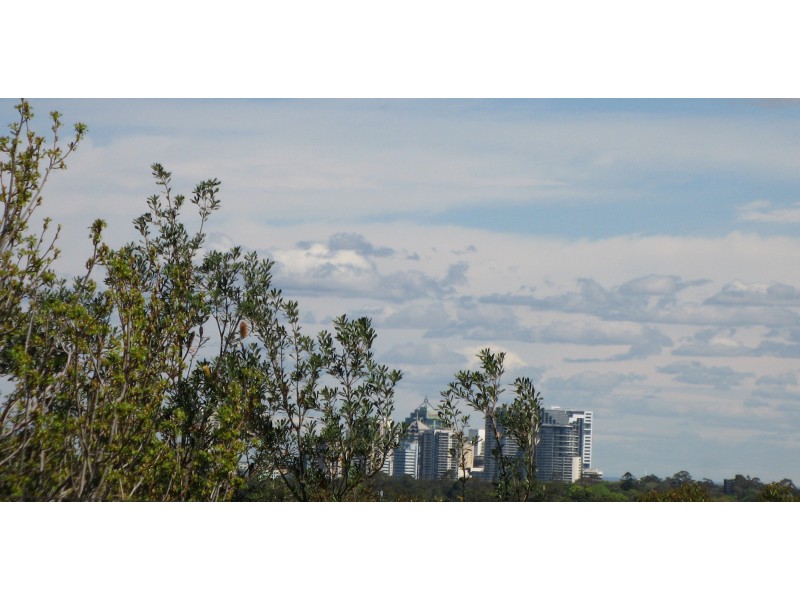 20 Arthur Street, Forestville NSW 2087