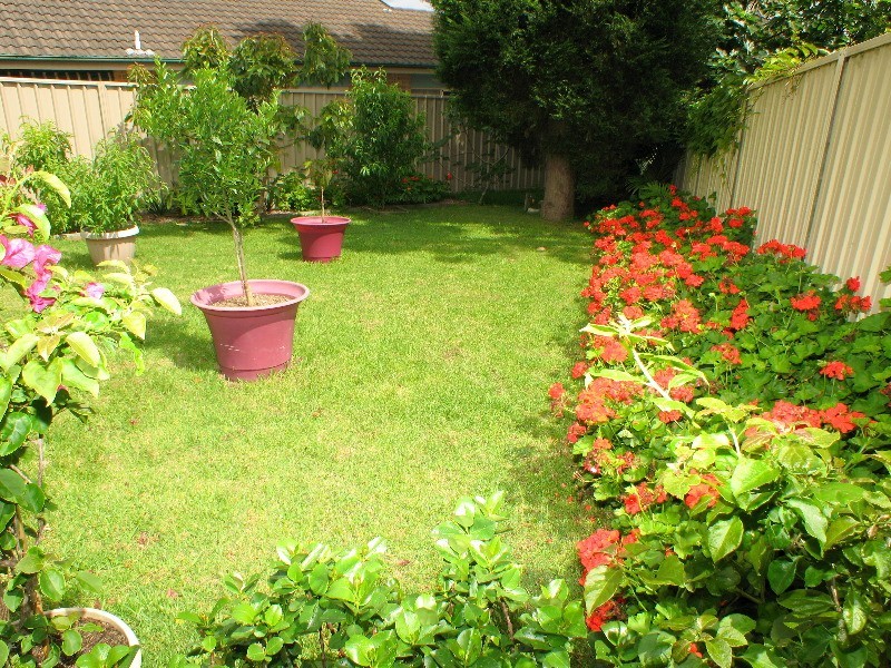 12a Castle Crecent, Belrose NSW 2085