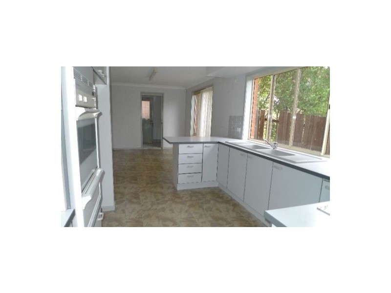 14 Davidson Ave, Forestville NSW 2087