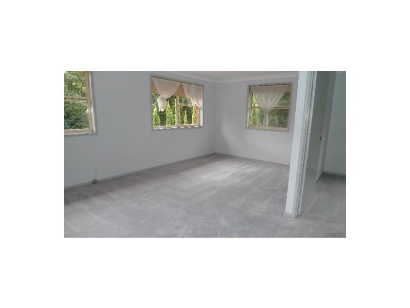 14 Davidson Ave, Forestville NSW 2087