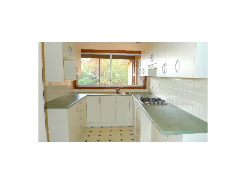 6 Riverhill Ave, Forestville NSW 2087