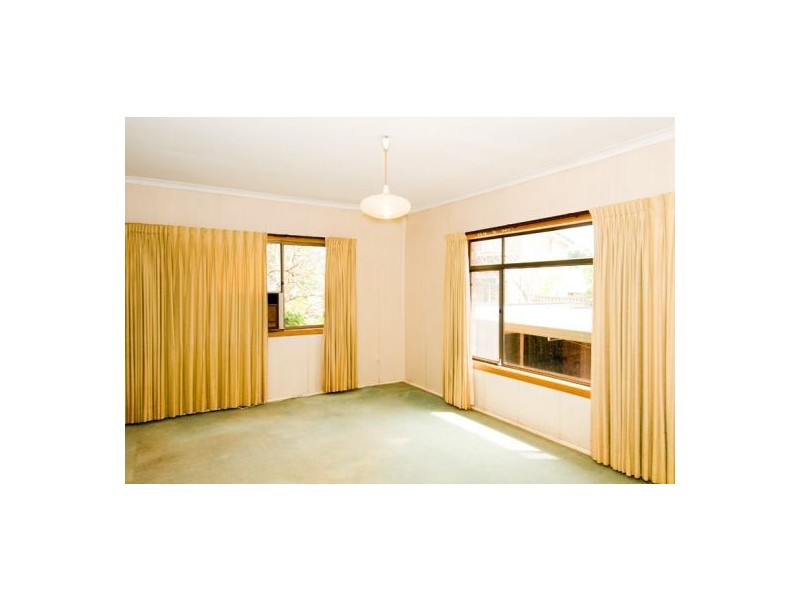 1 Forestville Ave, Forestville NSW 2087