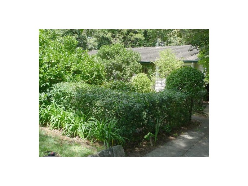 22 Edinburgh Avenue, Forestville NSW 2087