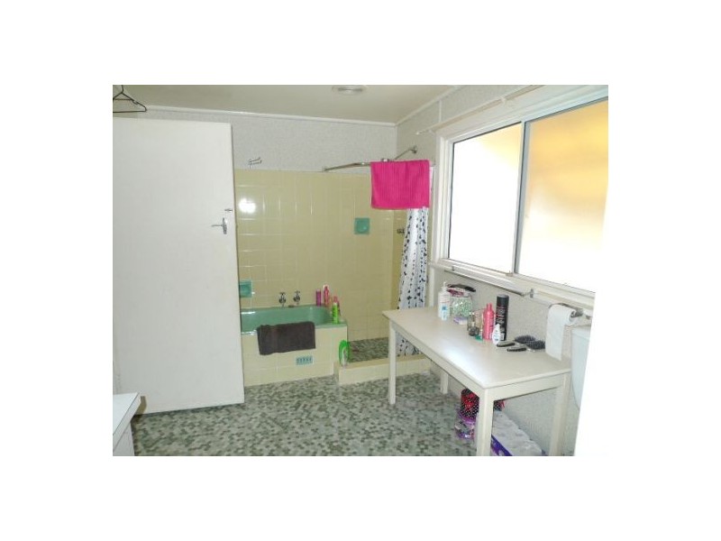 66 Starkey Street, Forestville NSW 2087