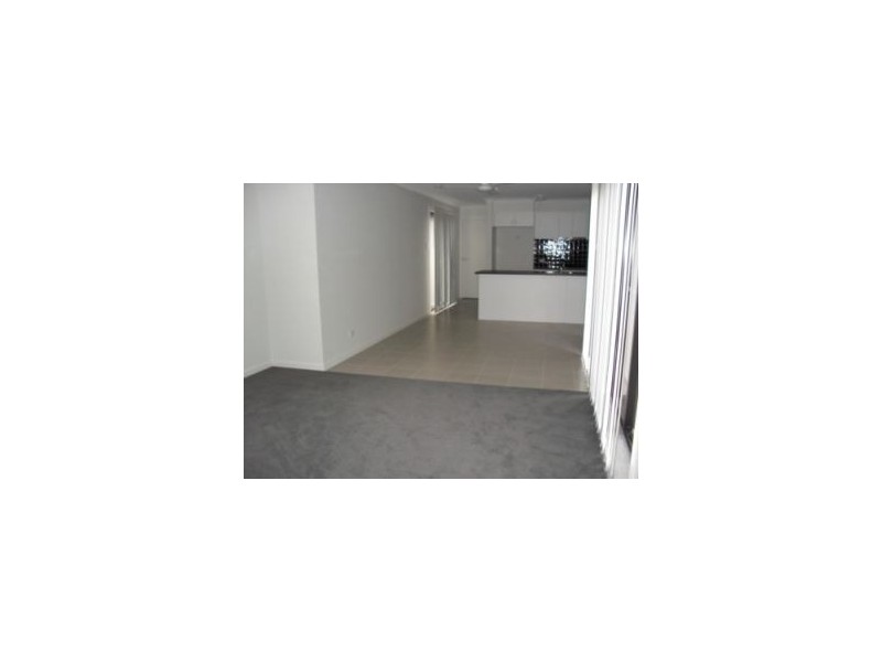 31 Collingrove Circuit, Pimpama QLD 4209