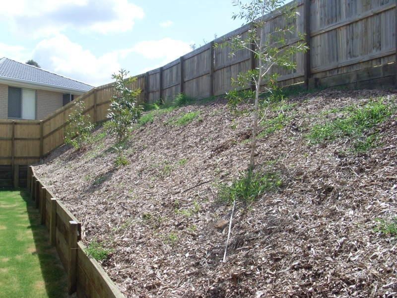 6 Karen Court, Redbank Plains QLD 4301