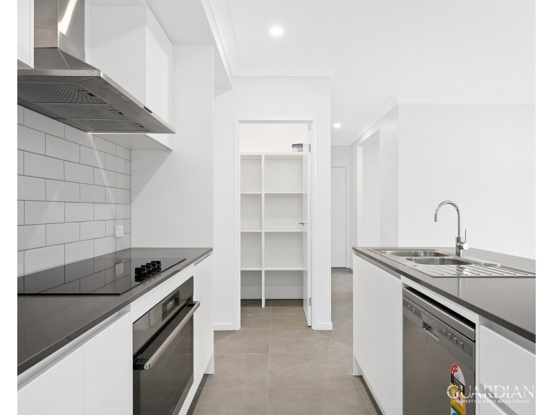 8 Birchwood Street, Park Ridge QLD 4125