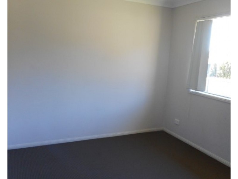 99 Tindle Street, Redbank Plains QLD 4301