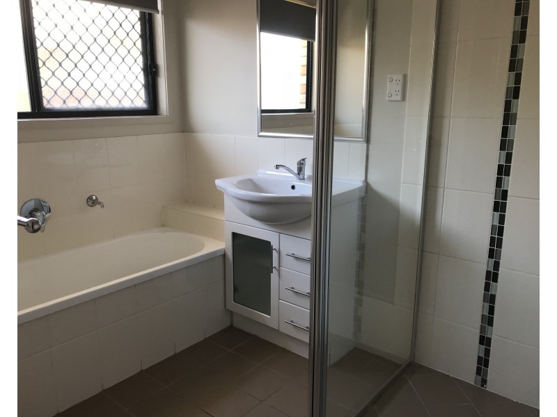 147 Alawoona Street, Redbank Plains QLD 4301