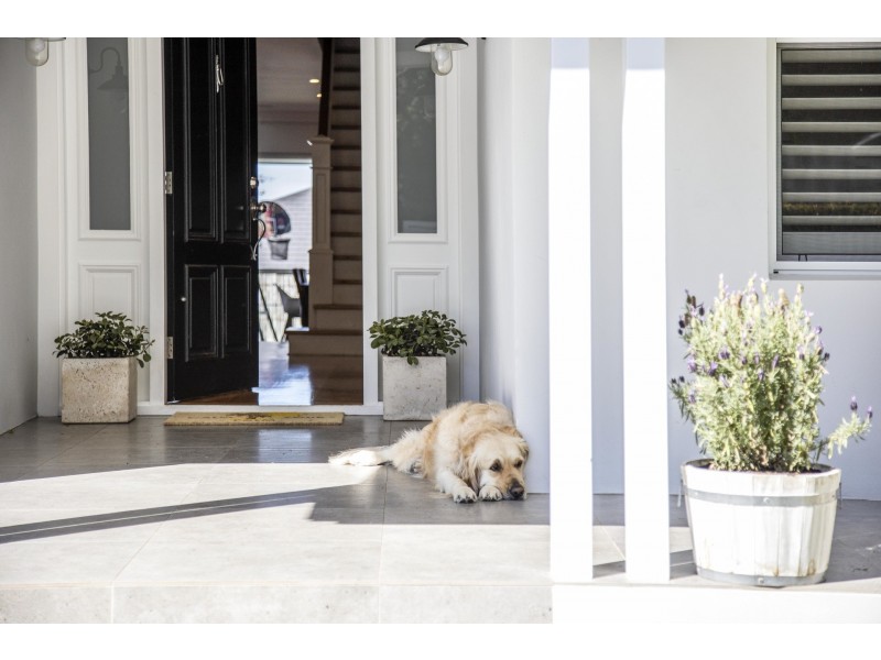 84 Caravan Head Road, Oyster Bay NSW 2225