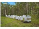 949 Bombah Point Road, Bombah Point NSW 2423