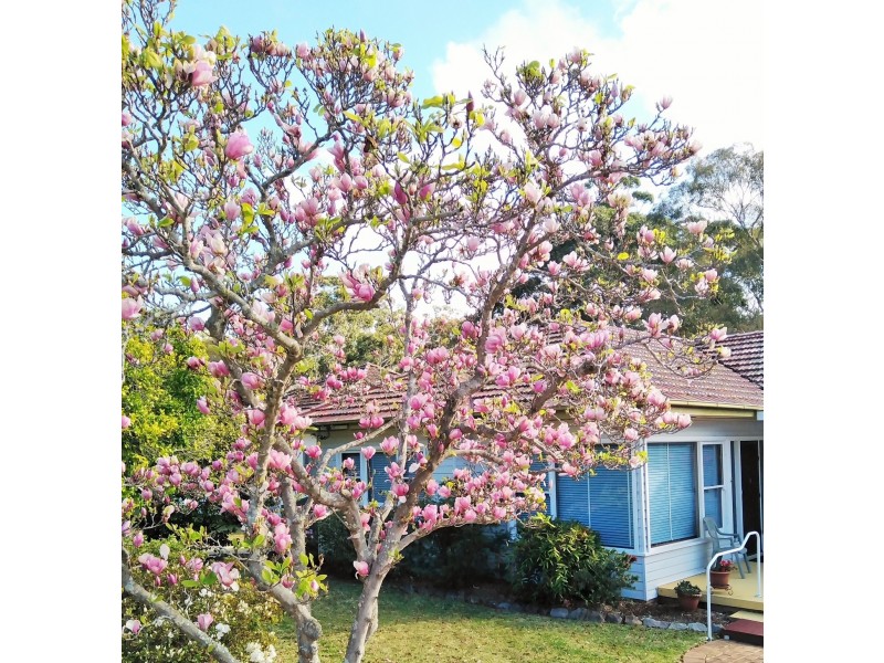 13 Laguna Street, Caringbah South NSW 2229