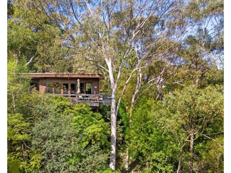 19 Tiranna Place, Oyster Bay NSW 2225