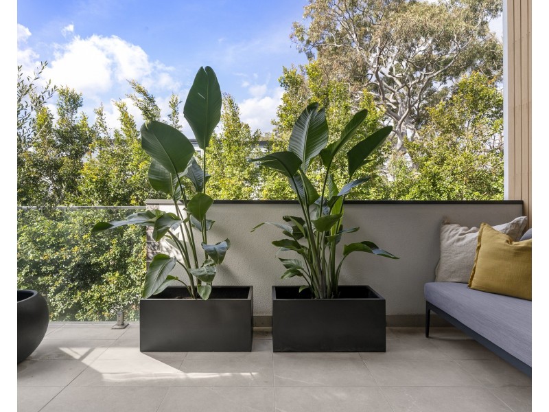 6/30 Wollun Street, Como NSW 2226