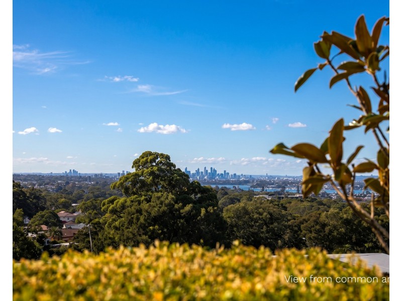 403/22 Pinnacle Street, Miranda NSW 2228