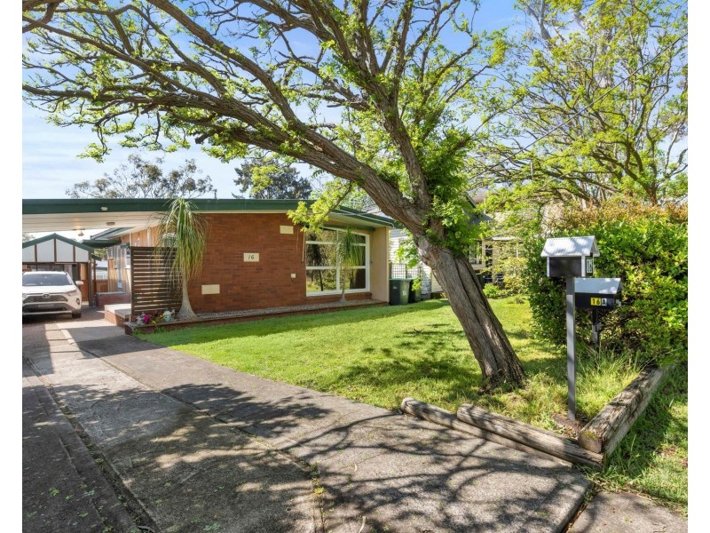 16 Tamar Street, Sutherland NSW 2232