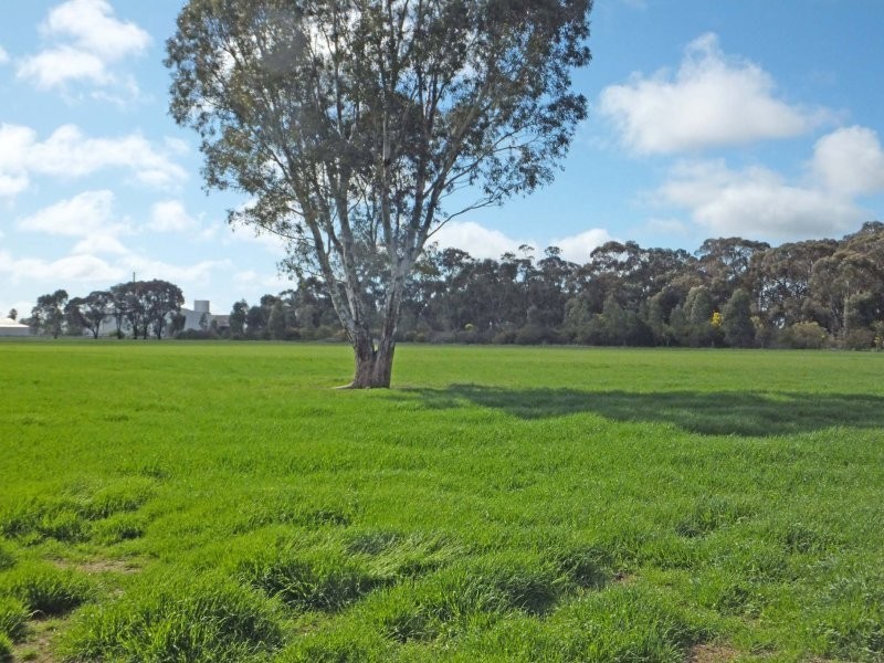 1/35-39 Morrissey Street, Merrigum VIC 3618