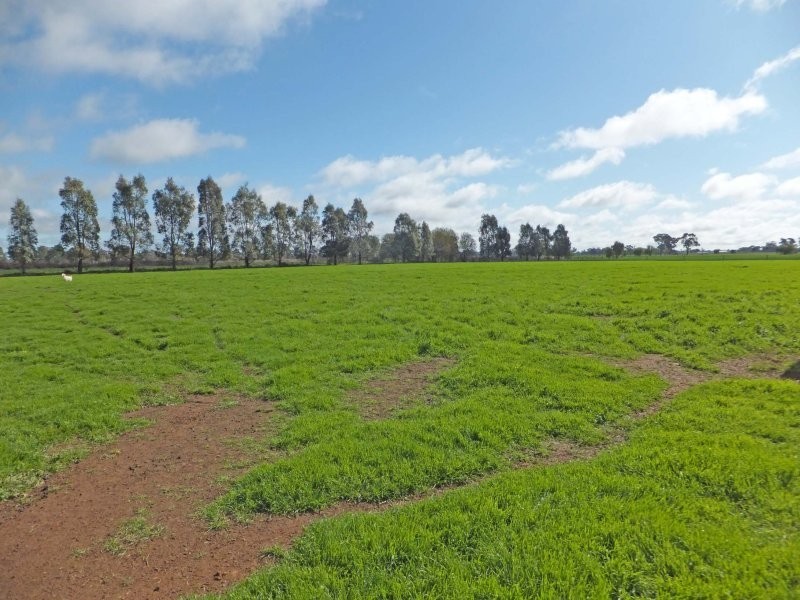 1/35-39 Morrissey Street, Merrigum VIC 3618