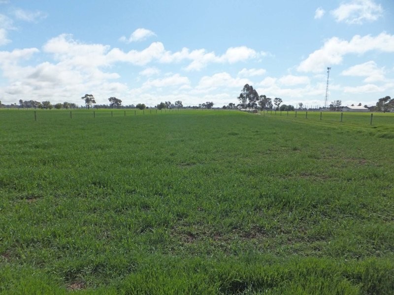 1/35-39 Morrissey Street, Merrigum VIC 3618