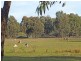 46 Kangaroo Way, Kyabram VIC 3620