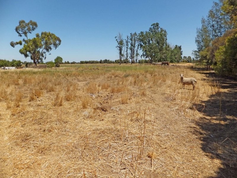 129 Weller Road, Lancaster VIC 3620