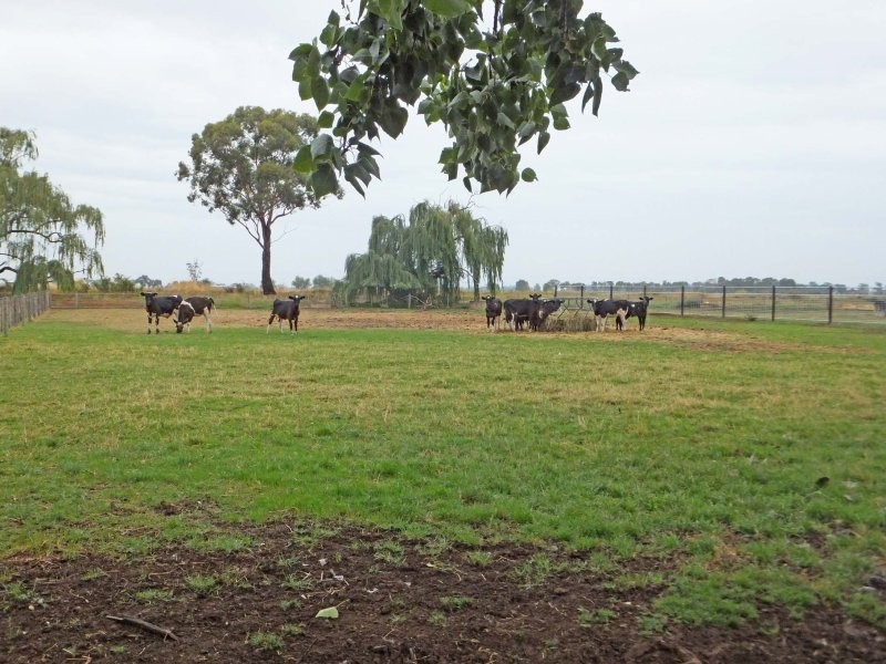 1012 Henderson Road, Tongala VIC 3621