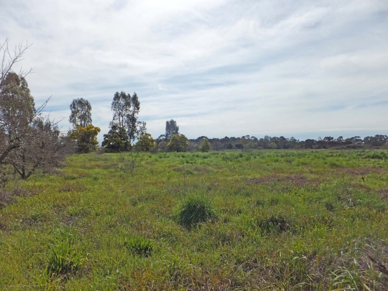 507 South Boundary Road, Kyabram VIC 3620