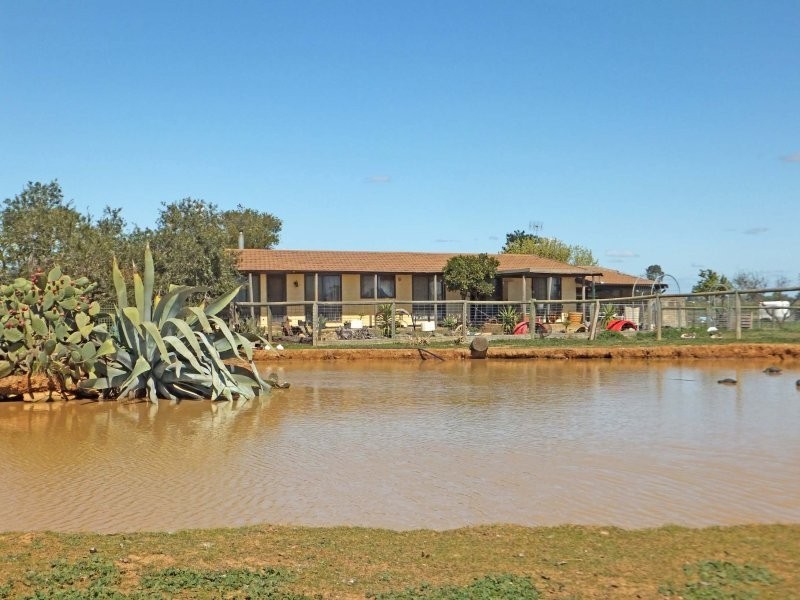 491 Murphy Road, Tongala VIC 3621
