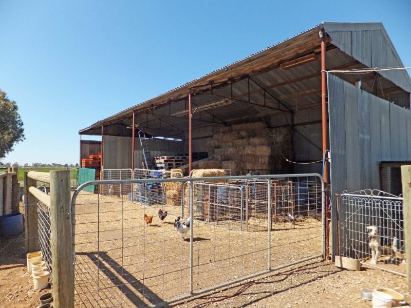 491 Murphy Road, Tongala VIC 3621