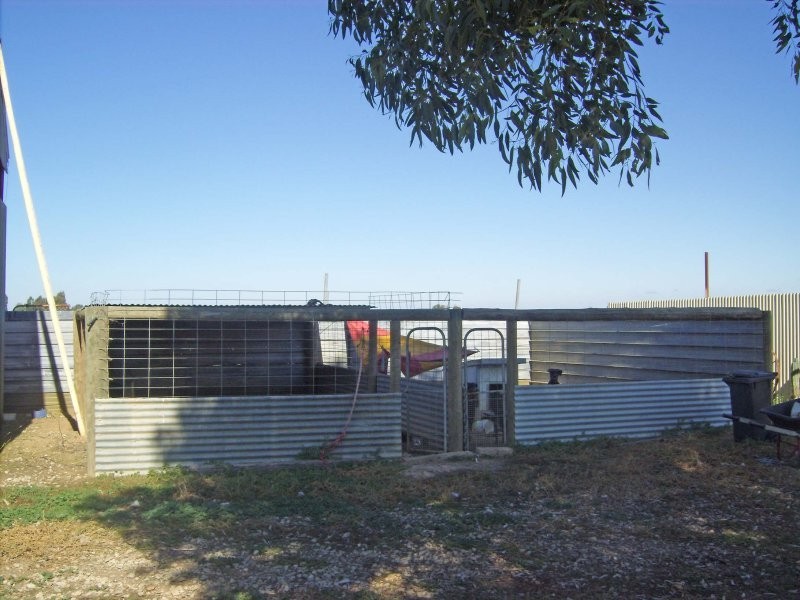 491 Murphy Road, Tongala VIC 3621
