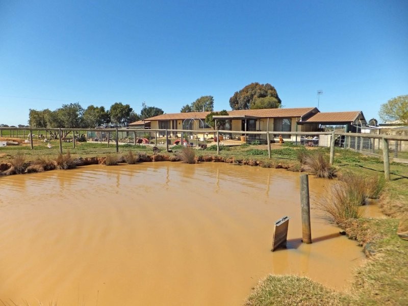 491 Murphy Road, Tongala VIC 3621