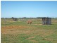491 Murphy Road, Tongala VIC 3621