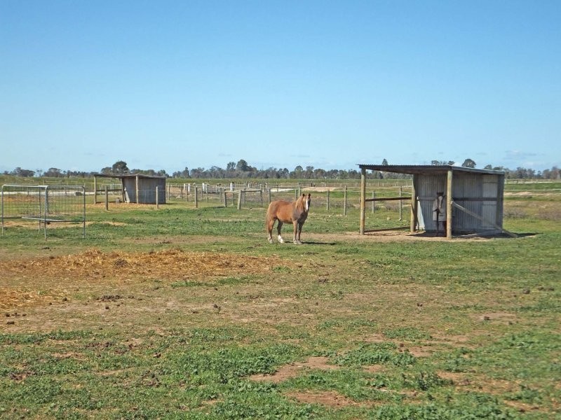 491 Murphy Road, Tongala VIC 3621
