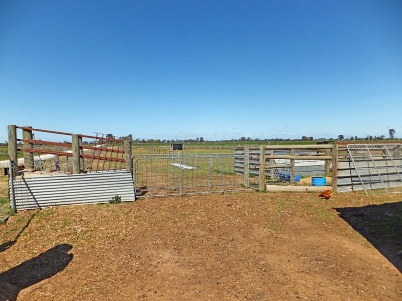 491 Murphy Road, Tongala VIC 3621