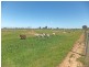 491 Murphy Road, Tongala VIC 3621